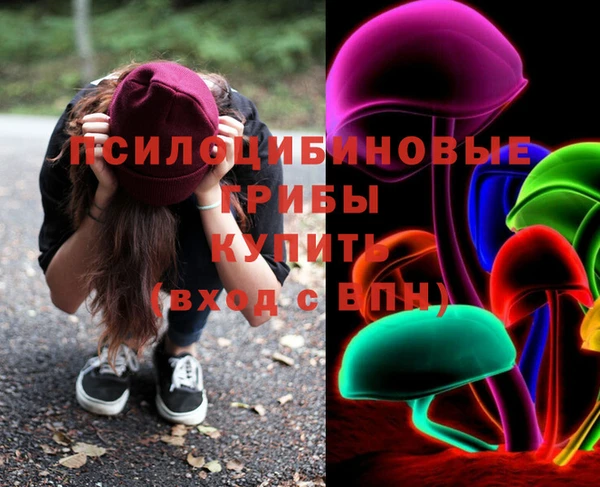 прущая мука Абаза