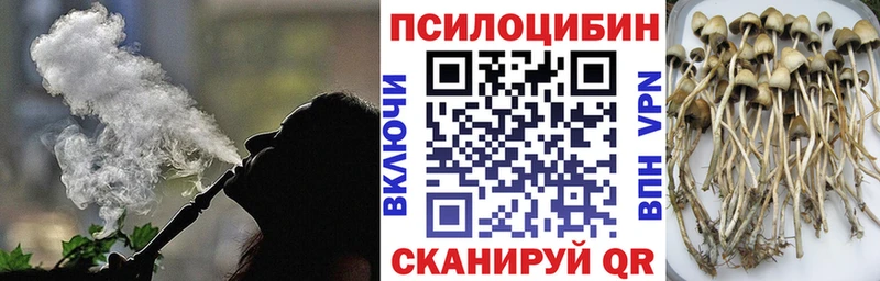 Галлюциногенные грибы Psilocybine cubensis  Янаул 