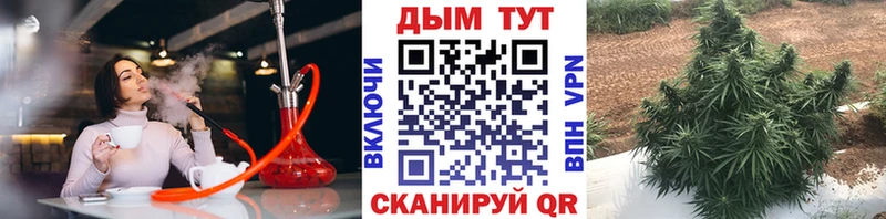 где найти   Янаул  Конопля семена 